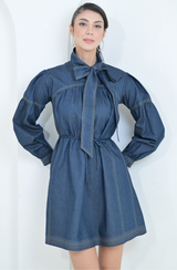 Blue Denim Mini Dress
