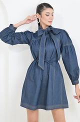 Blue Denim Mini Dress