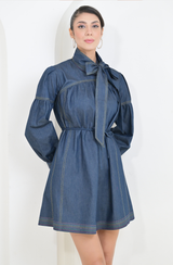 Blue Denim Mini Dress