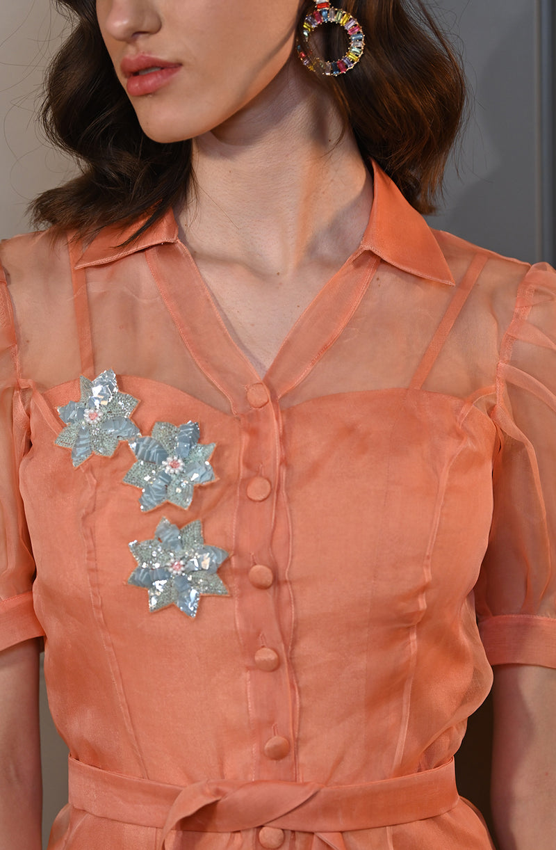 Coral Orange Embroidered Organza Dress
